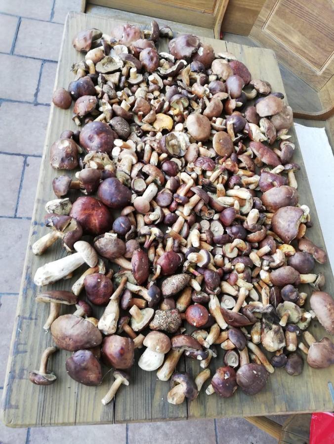 Vítkovice Penzion Horajda酒店 外观 照片